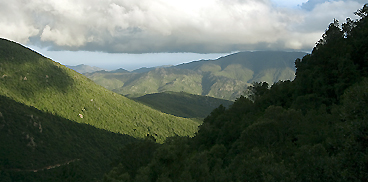 Pantaleo, panorama