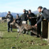 Liberazione di un cervo elitrasportato in Corsica