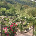 Giardino weekend delle rose  -  Villanova Monteleone