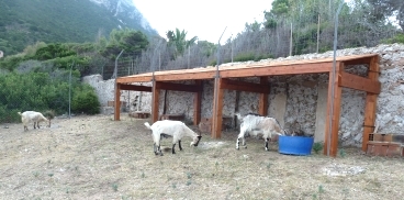 Recinto di cattura per le capre - Tavolara
