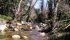 Foresta Demaniale Pantaleo