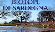 Biotopi di Sardegna