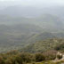 Vista della foresta di Montarbu da Punta Margiani Pubusa (da Digital Library)