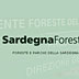Ente Foreste Direzione