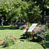 Monte Limbara Sud, Giardino delle Farfalle