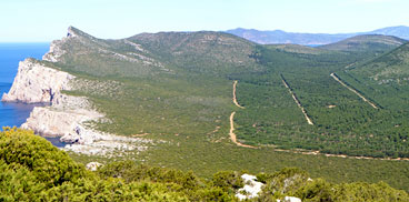 Panorama di Piana Longa verso le falesie di Punta Cristallo
