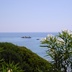 Oleandri ed il mare di Pòglina, Villanova Monteleone
