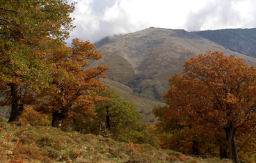 paesaggio autunnale