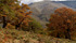 paesaggio autunnale