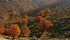paesaggio in autunno