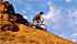 Escursione in mountain bike