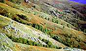 Scorcio del Gennargentu  