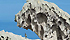 Una capra tra le rocce dell'Asinara