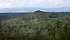 Foresta demaniale Monte Pisanu