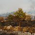 Paesaggio percorso da incendio