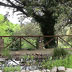 Foresta demaniale Marganai
