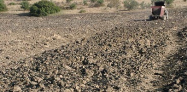 Utilizzo dei fanghi in agricoltura