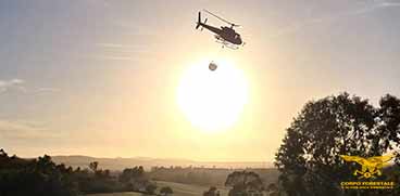 elicottero durante operazioni antincendio