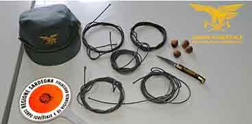 lacci illegali sequestrati