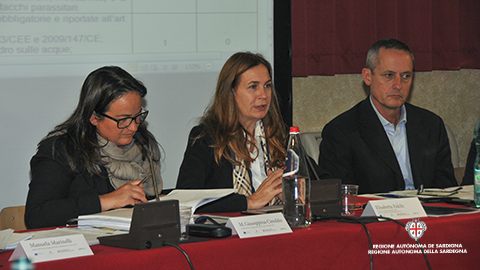 Assessore Falchi - PSR Sardegna - insediamento comitato di sorveglianza - 18.11.2015 Cagliari