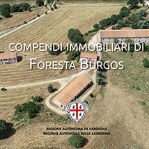 foresta Burgos