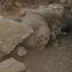 Sito archeologico di Mont'e Prama