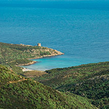 Asinara mare 