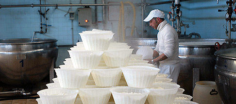 formaggio lavoro industria casearia caseificio latte
