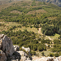 forestas orgosolo-parco-montes-ambiente-montagne-boschi-trekking-