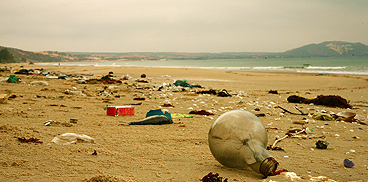 rifiuti spiaggiati